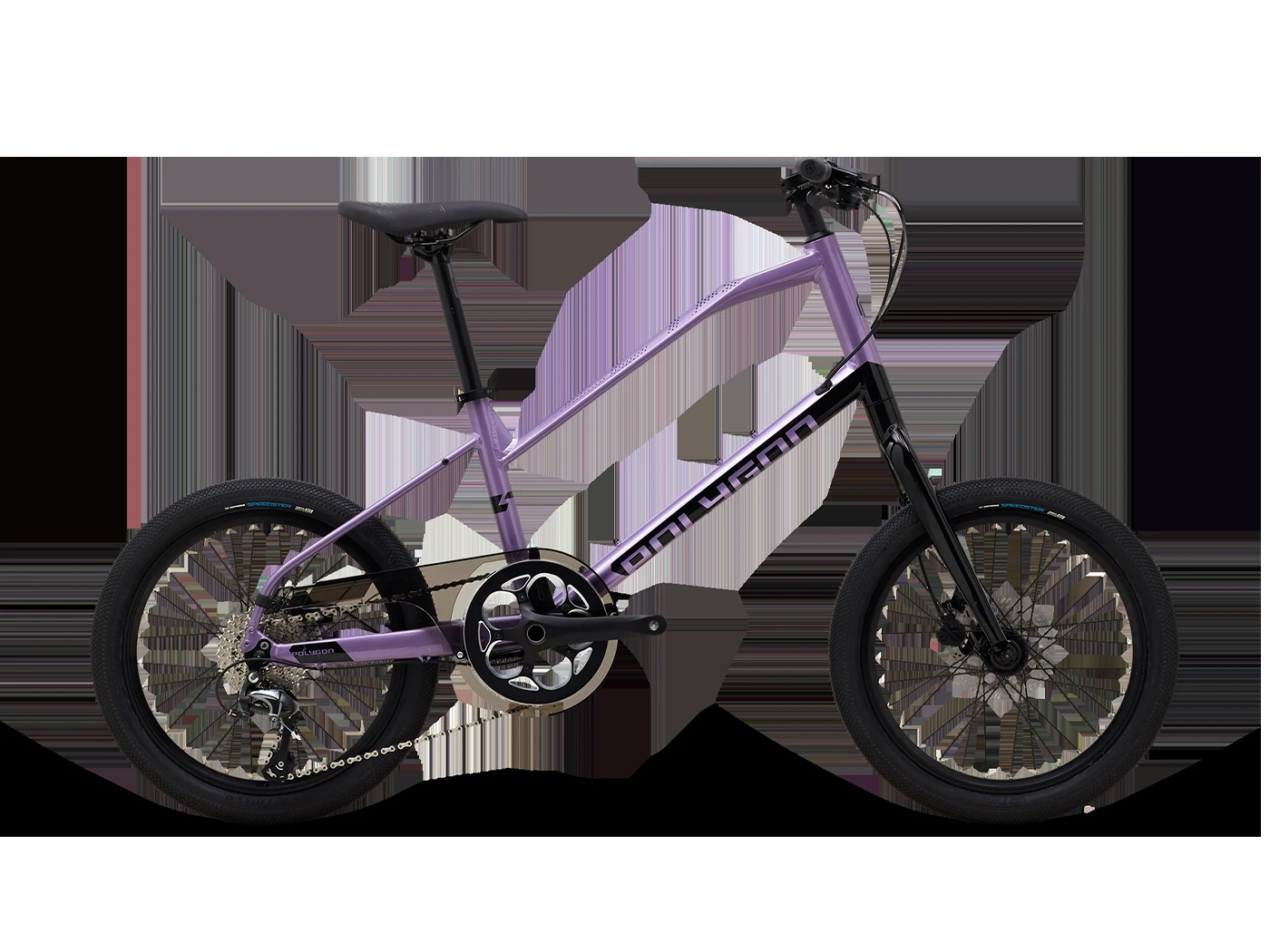 Polygon Zeta 2 2022 - Black Brown