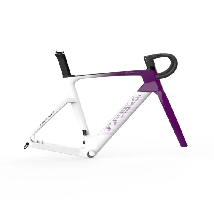 TFSA JH-10 Carbon Aero Road Frameset