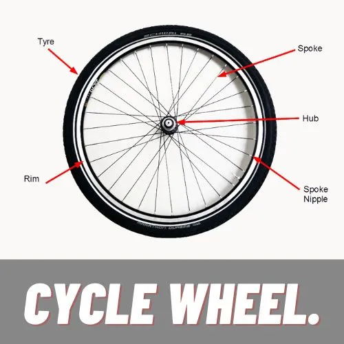 cycle wheel anatomy explained in a illusrtration