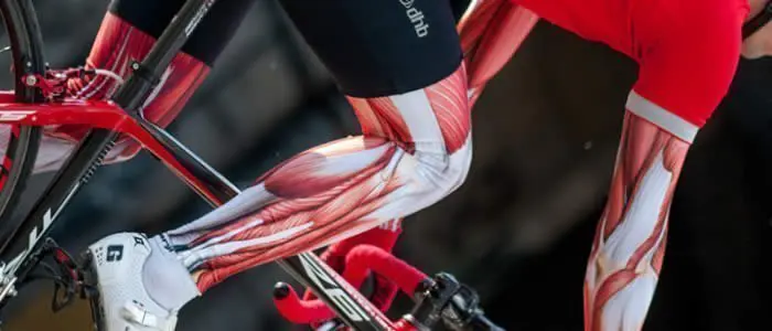 Image showing muscles of the hand and legs of a cyclist which is use during cycling.