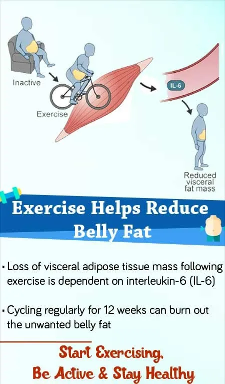 An Image showing exercise helps to reduce belly fat.