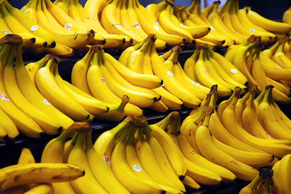 Bananas at a fruit store.