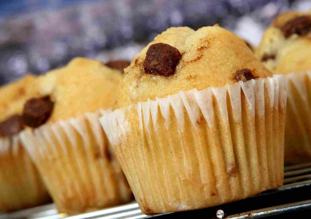 Low Fat Muffins