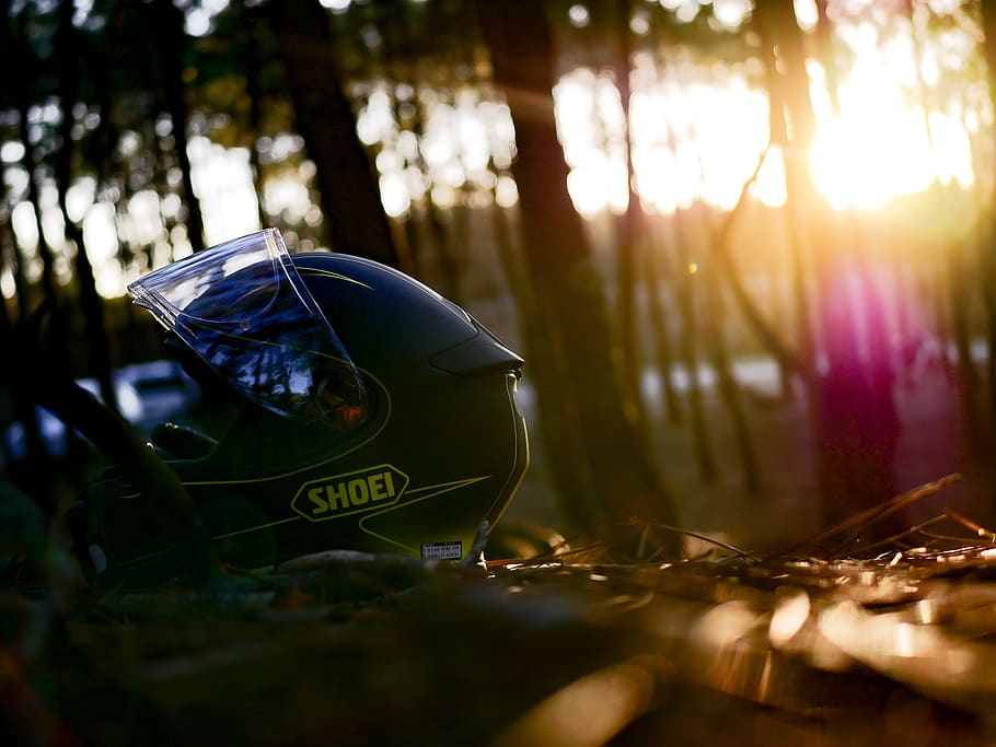 A Helmet lying in the woods.
